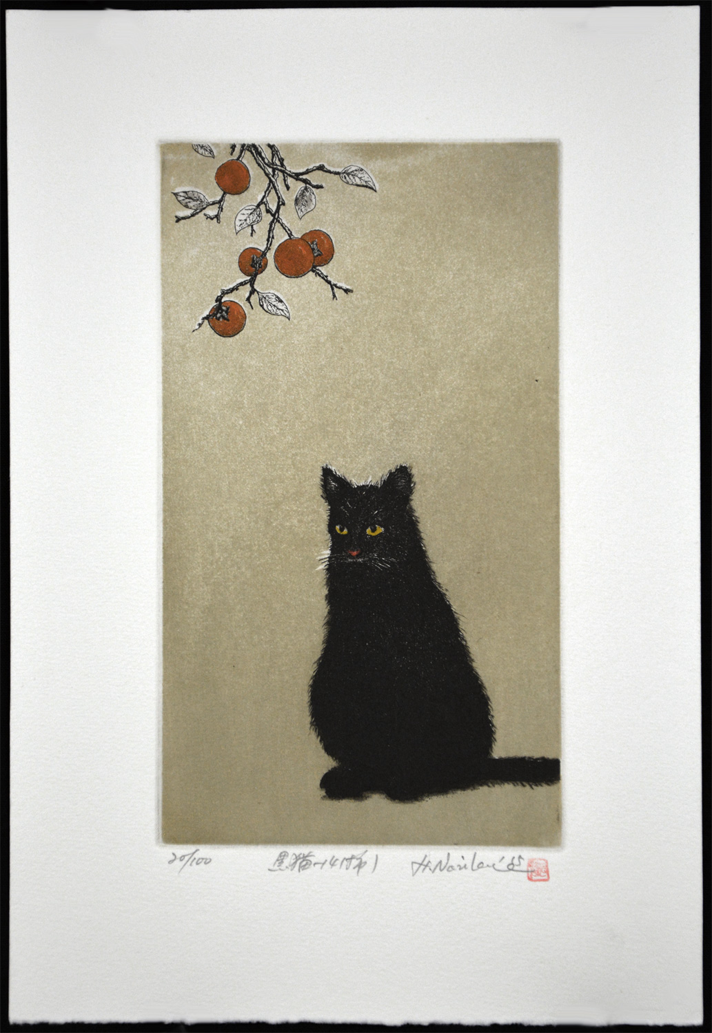 Black Cat - 14 (Persimmon) - Image 2