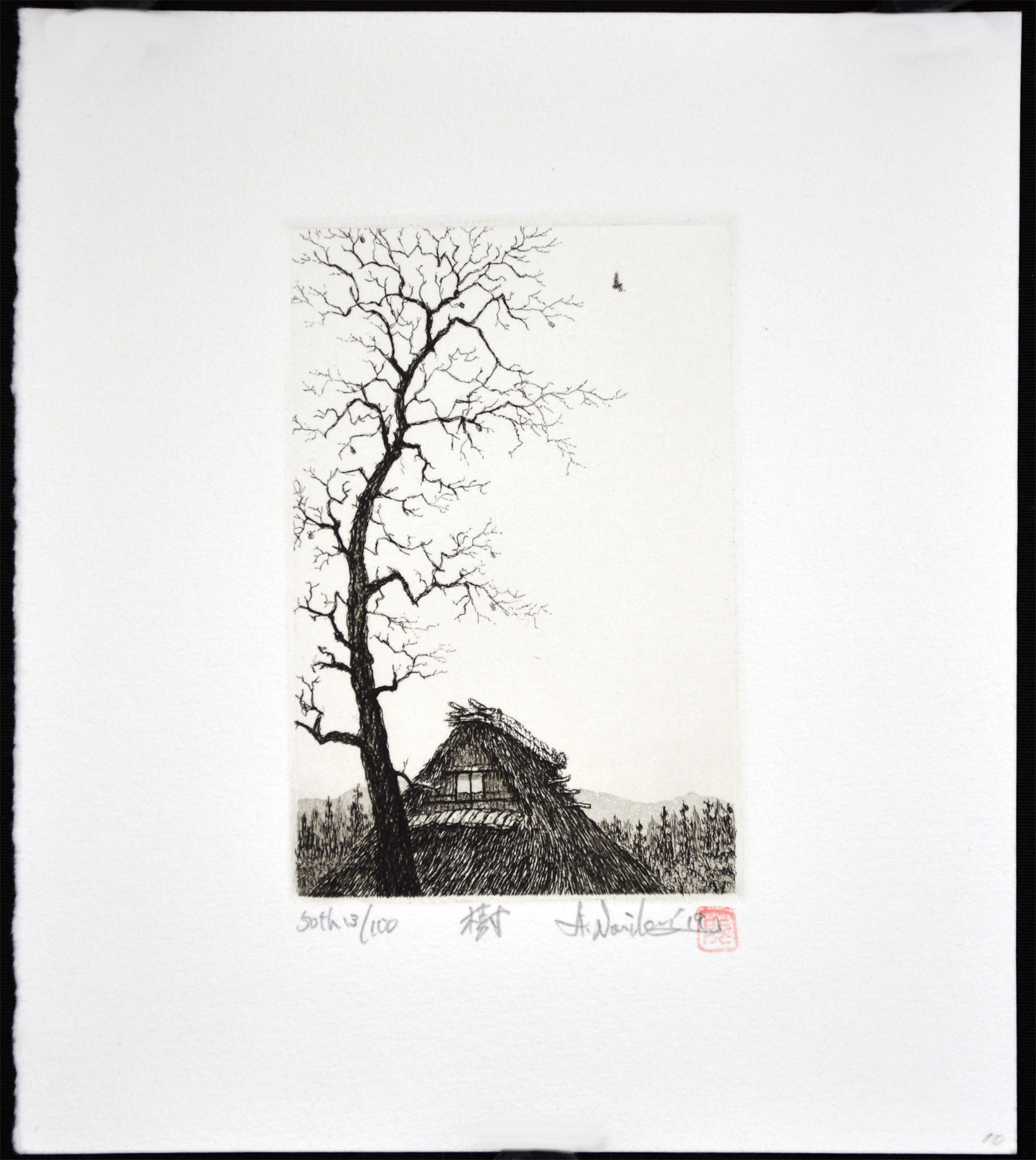 One Tree - Image 2