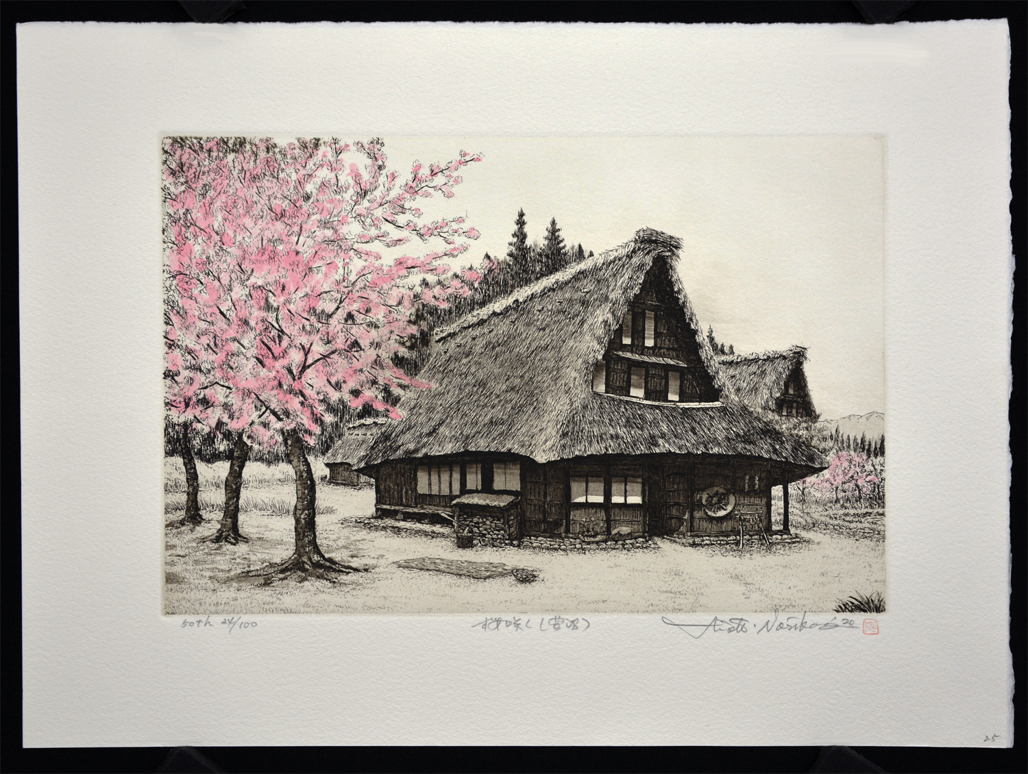 Cherry Blossom (Suganuma) - Image 2