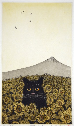 Black Cat - 17 (Summer)