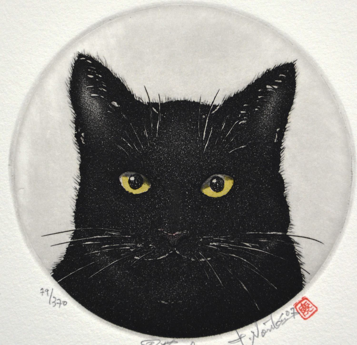 Black Cat - 10