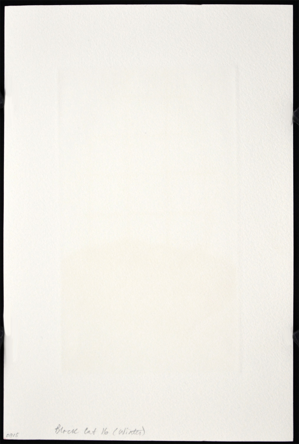 Black Cat - 16 (Winter) - Image 3