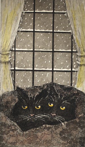 Black Cat - 16 (Winter)