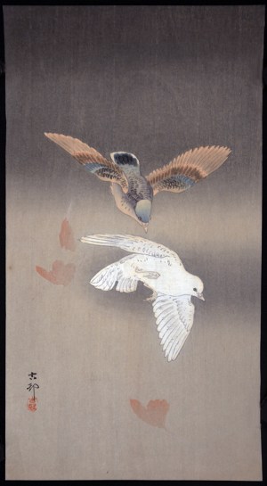 Two Pigeons in Flight, Between Falling Ginkgo Leaves