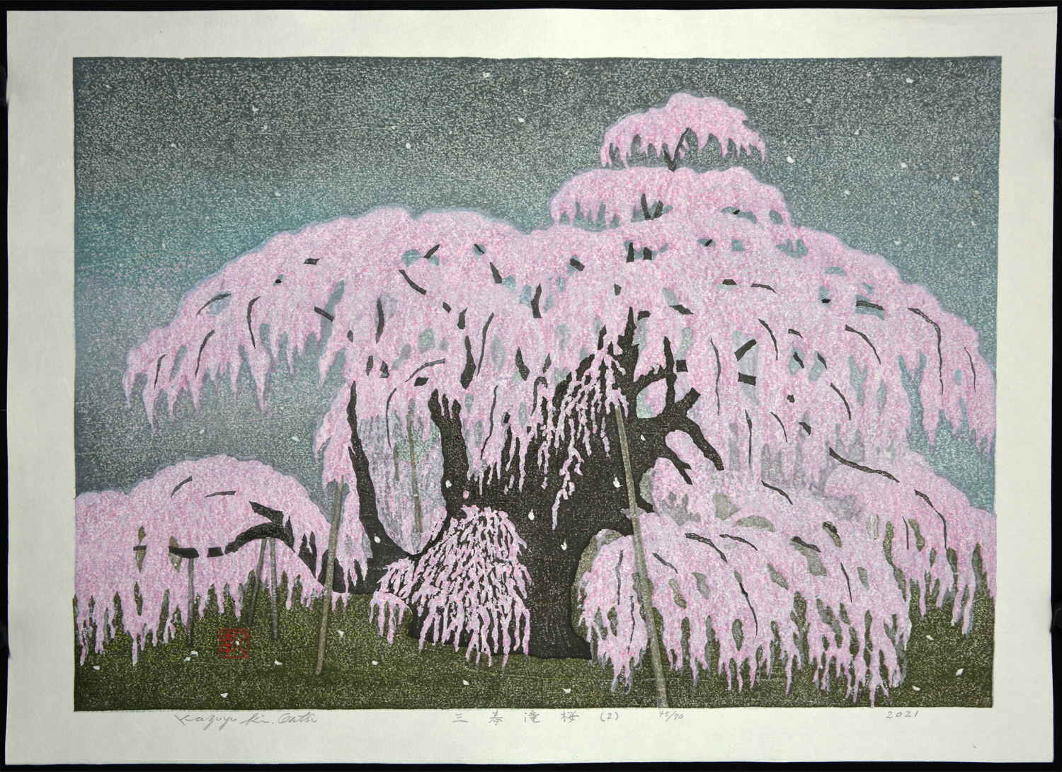 Miharu Takizakura (2) <Weeping Cherry> - Image 2