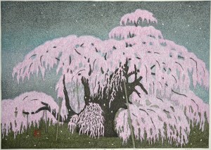 Miharu Takizakura (2) <Weeping Cherry>