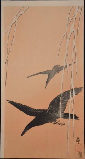 Crows Amid Snowy Branches