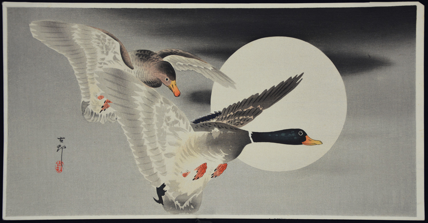 Two Mallard Ducks and the Moon - Image 2