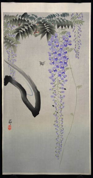Wisteria and Bee