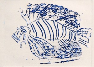 Lion Fish