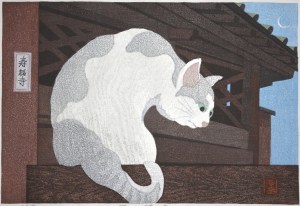 Cat, Kamakura (Jufukuji)