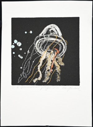 Illuminations: Jellyfish Series, "B"