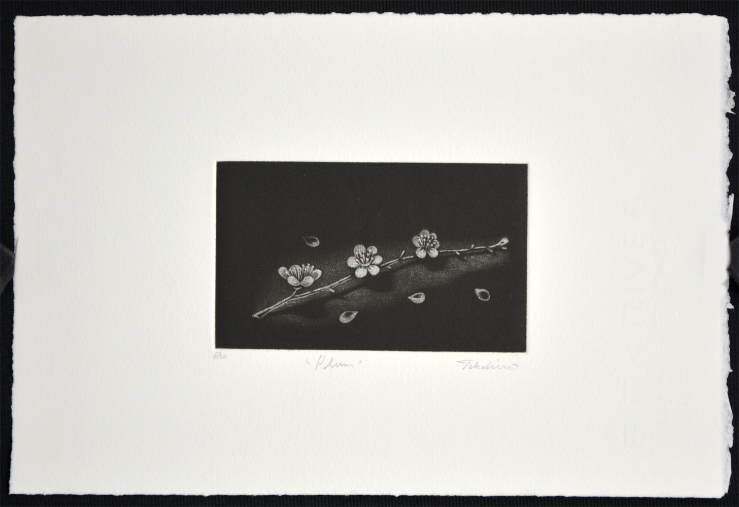 Plum - Image 2