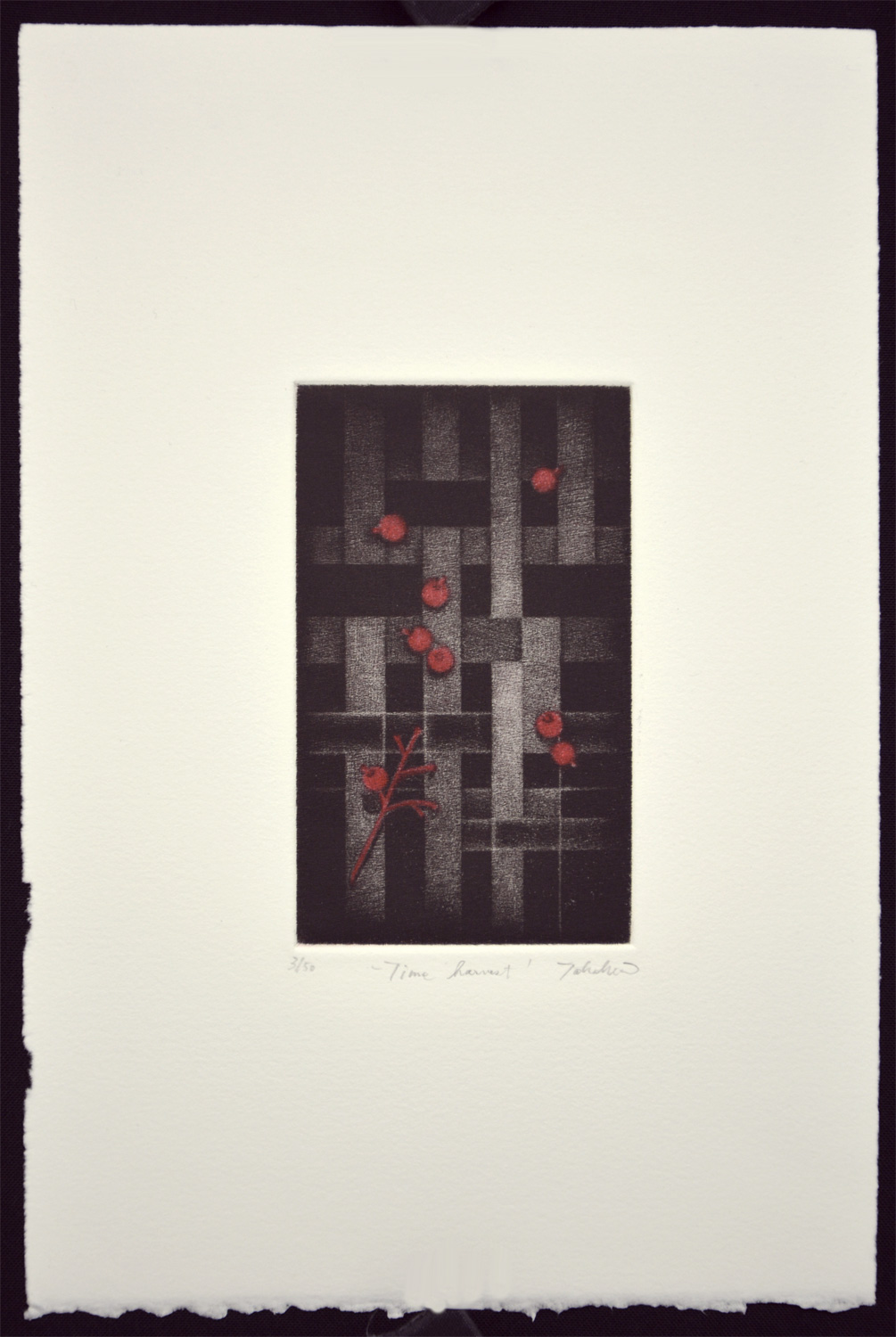 Time Harvest - Image 2