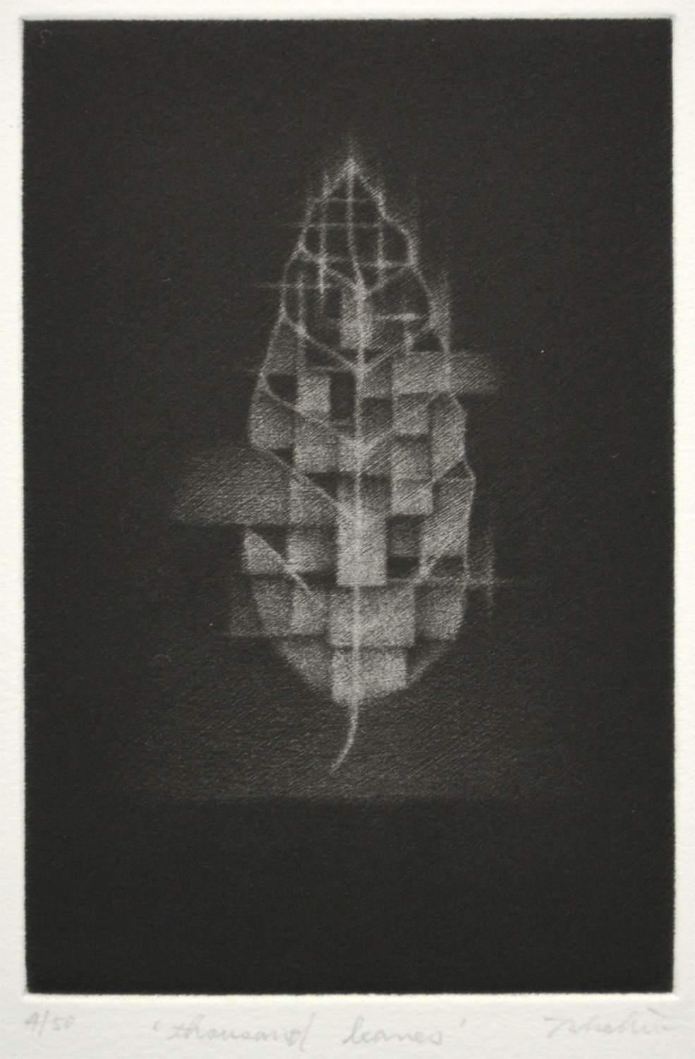 Thousand Leaves