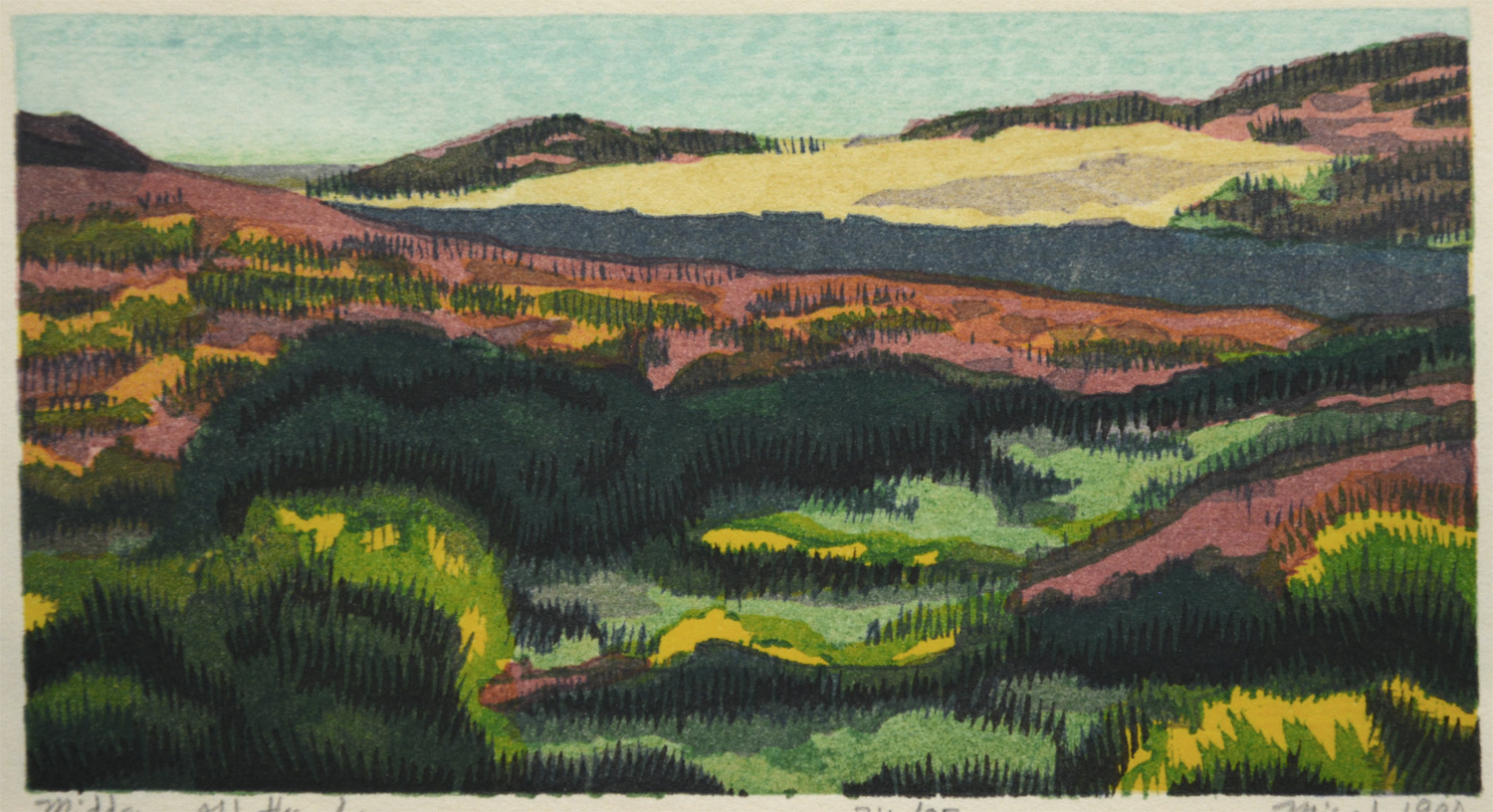 Point Reyes Book I: A Suite of Color Woodblock Prints - Image 2