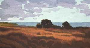 Day’s End, Limantour Bluff