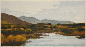 Morning, Limantour Marsh (Point Reyes series)