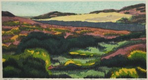 Midday, Abbots Lagoon