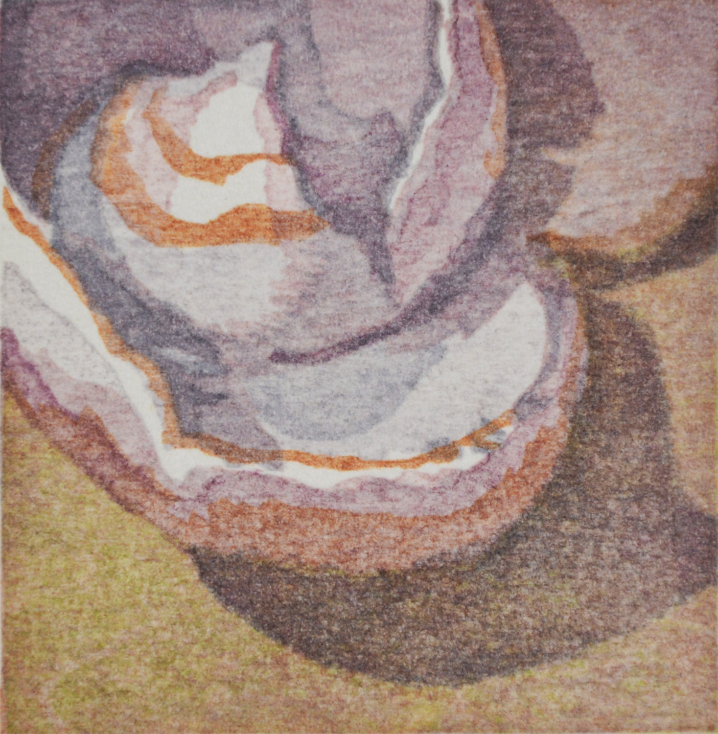 Shell 2