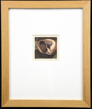 Shell Fragments:  Book I -  A Suite of Five Color Woodblock Prints