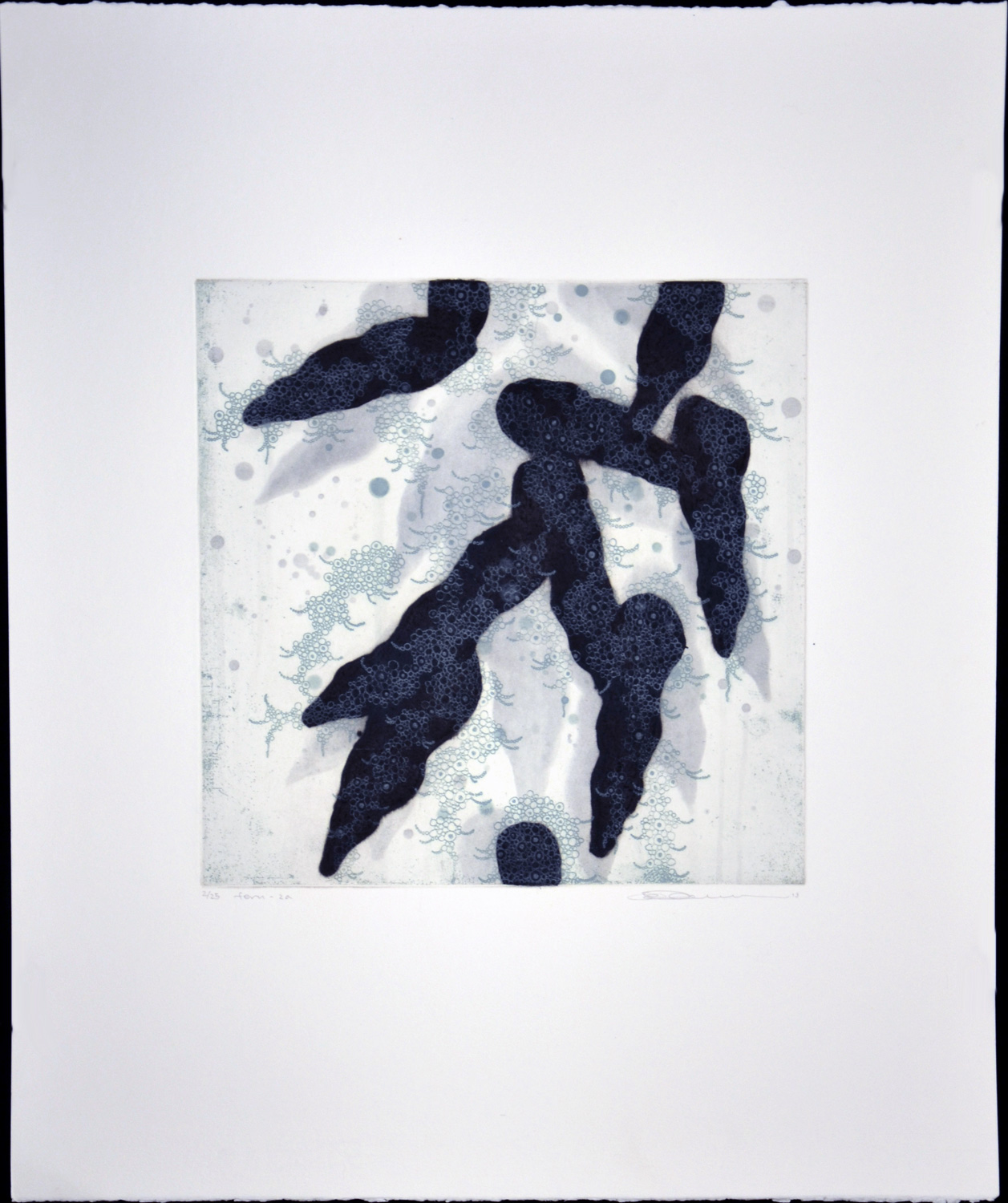 Fern - 2a - Image 2