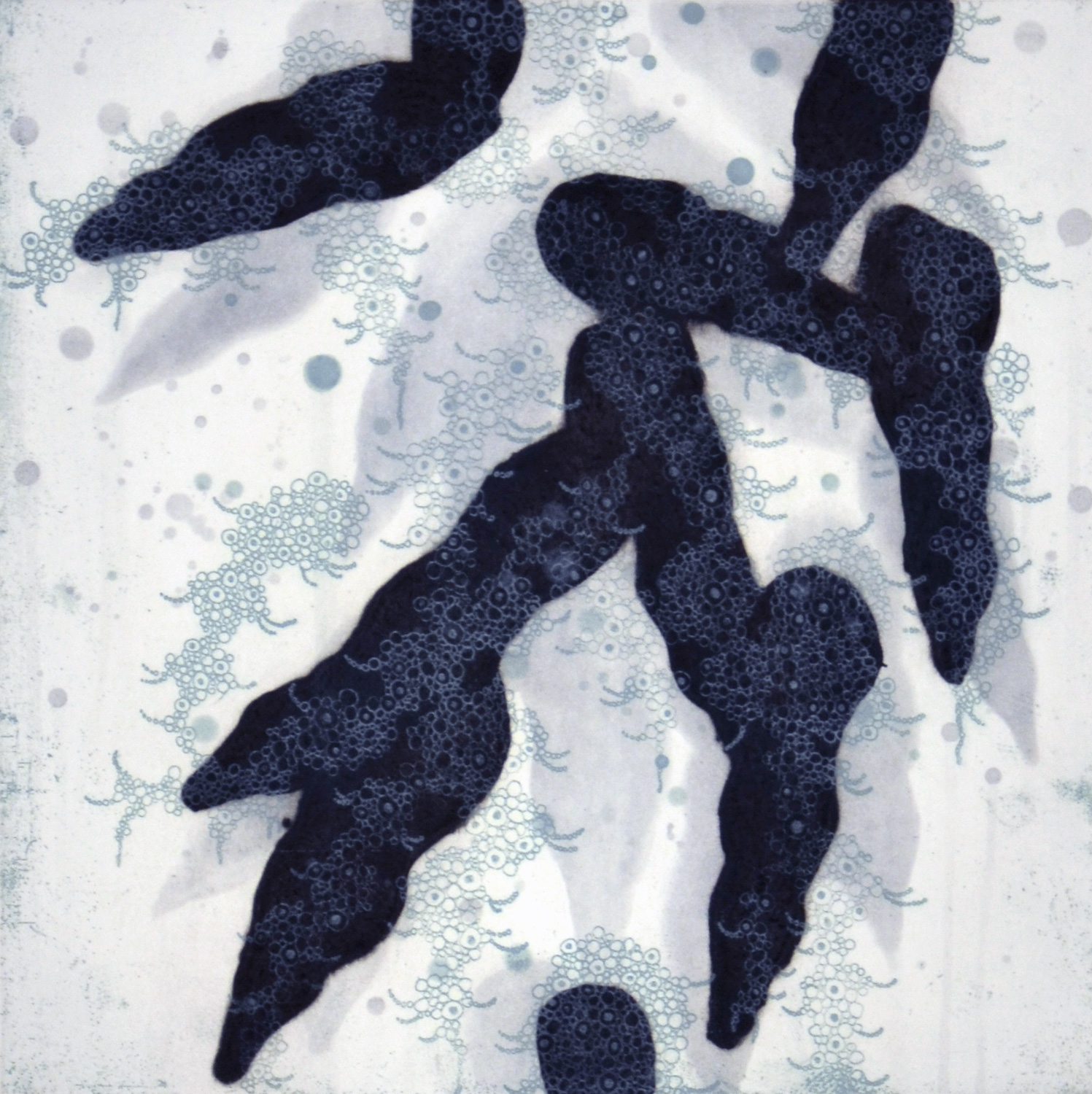 Fern - 2a