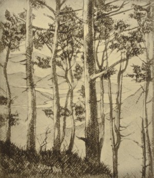 Untitled (Trees Above the Lake)