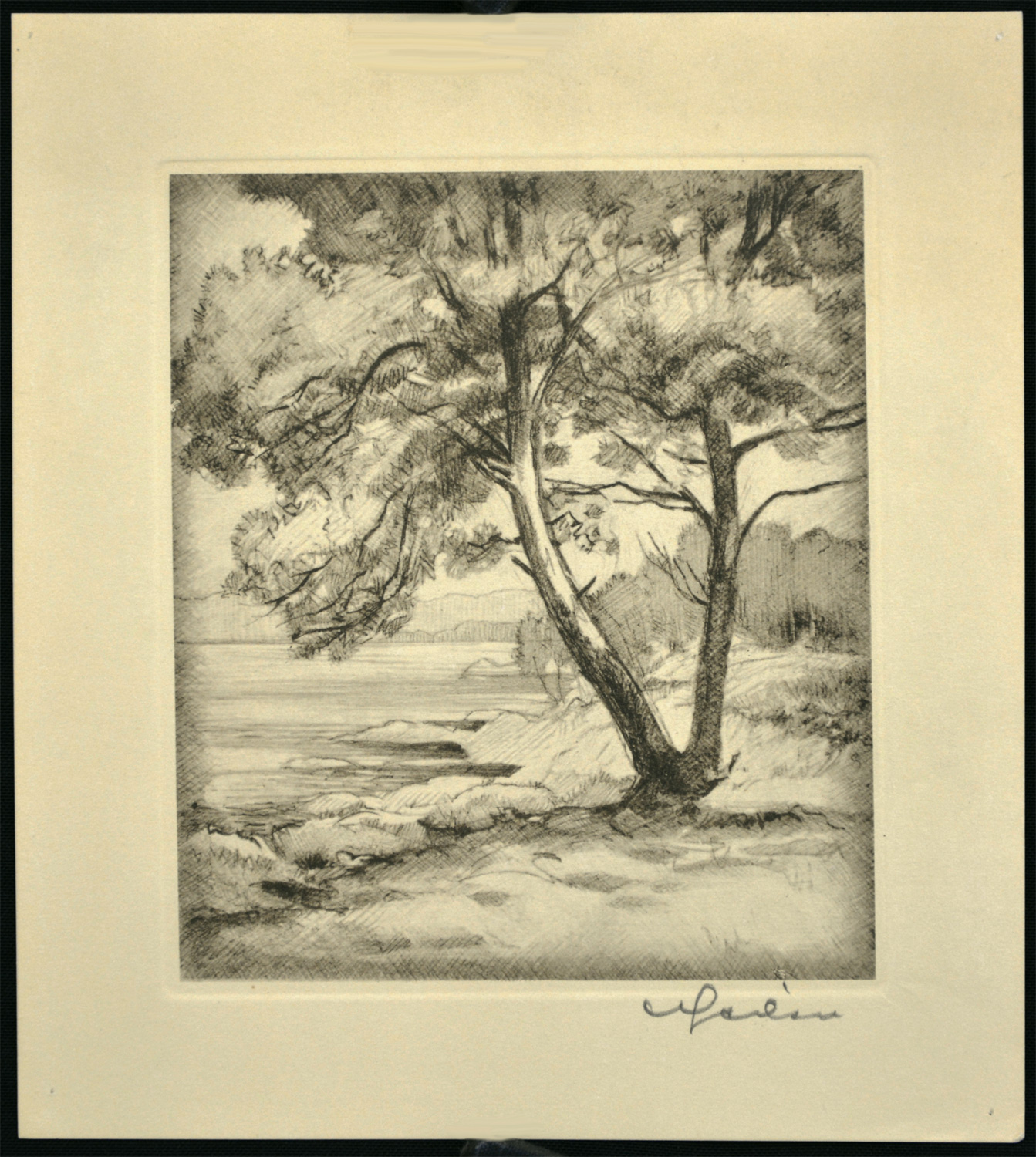 Untitled (Tree at the Shore) - Image 2