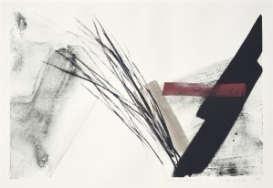 Yume no Ukihashi <Floating Bridge of Dreams>