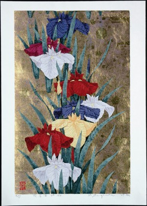 Iris No. 162