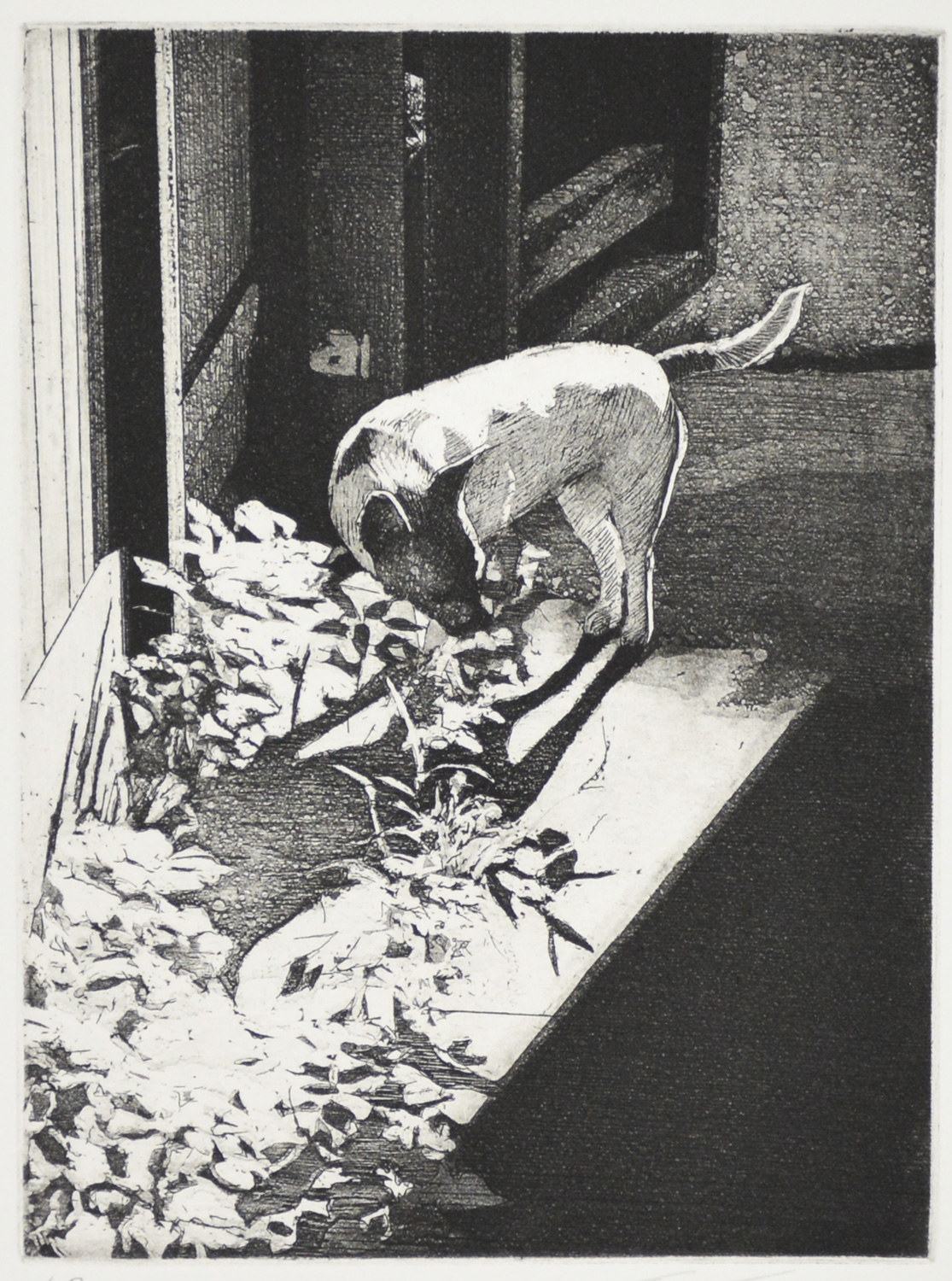 crossing-micro-the-ren-brown-collection-gallery