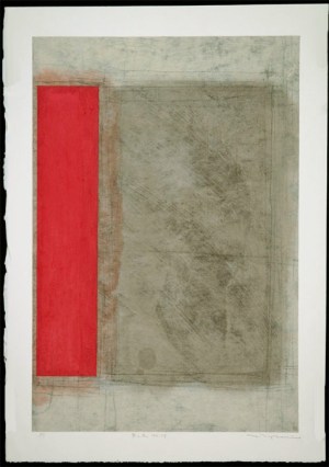 Shadow and Red 99-37