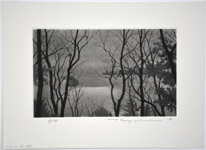 Trees on the Hill