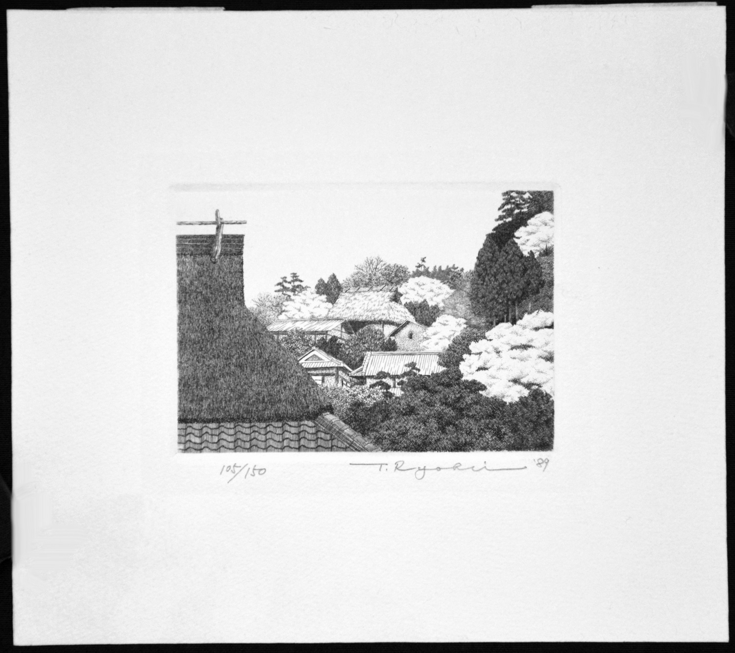 Spring Village - Image 2