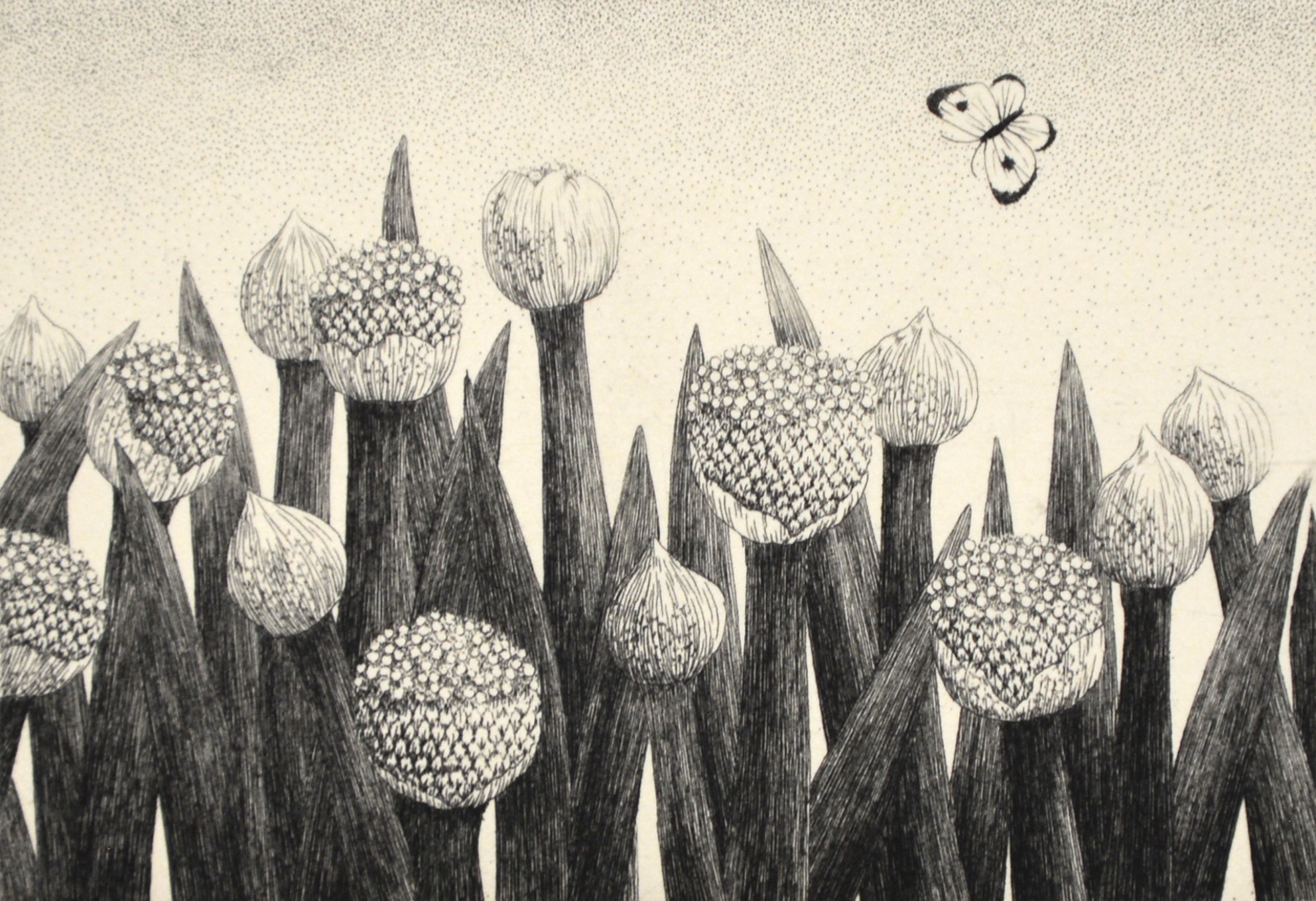 Onion Flower No. 2