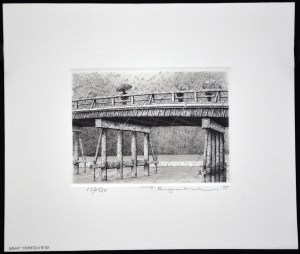 Rainy Togetsukyo Bridge