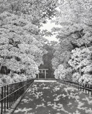 Kyoto #14: Tadasu no Mori