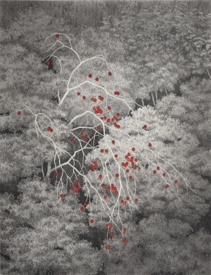 Persimmons and Thicket