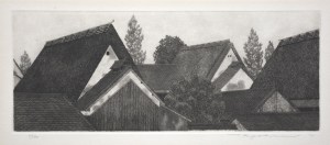 Village of Yamato Roofs