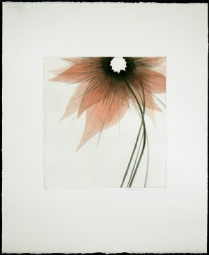 Connection - Blossom #5