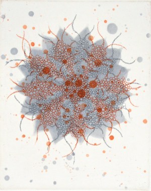 Fern Butterfly Effect a-2