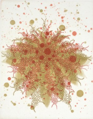 Fern Butterfly Effect c-2