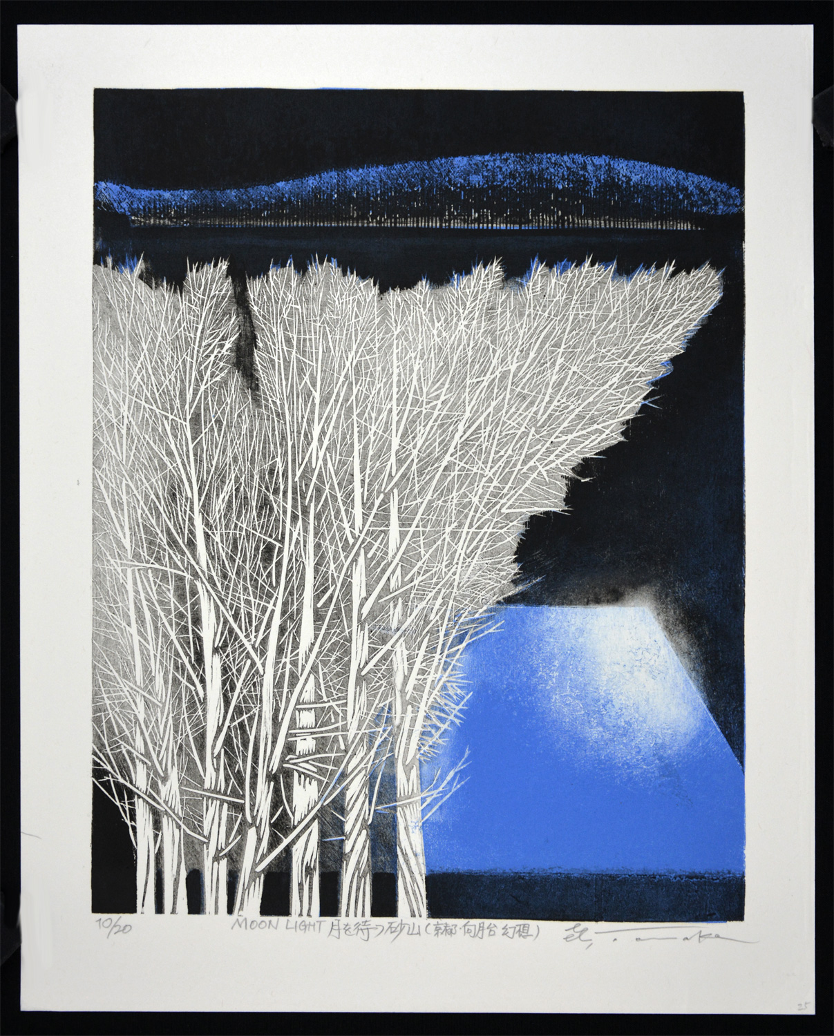 Moonlight – Waiting for the Moon – The Ren Brown Collection Gallery