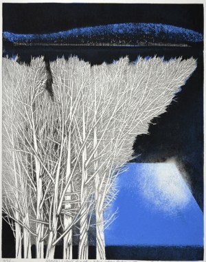 Moonlight - Waiting for the Moon