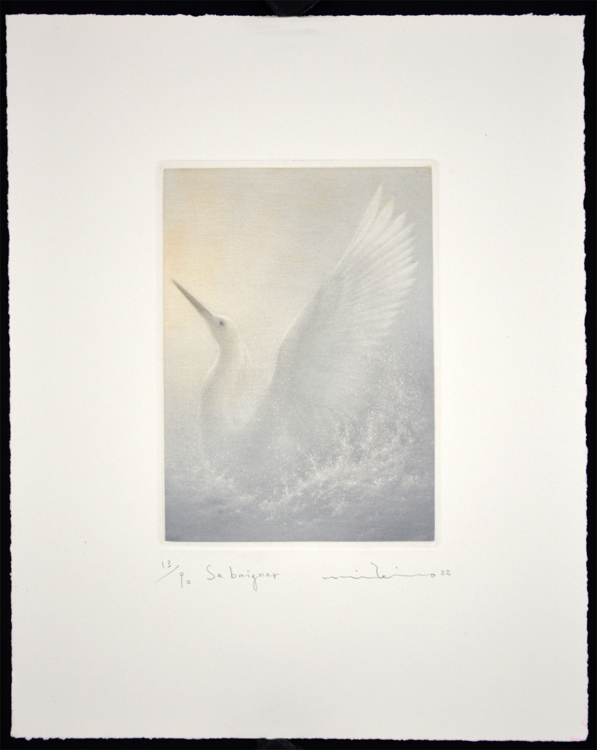 Se Baigner (Swimming) - Image 2