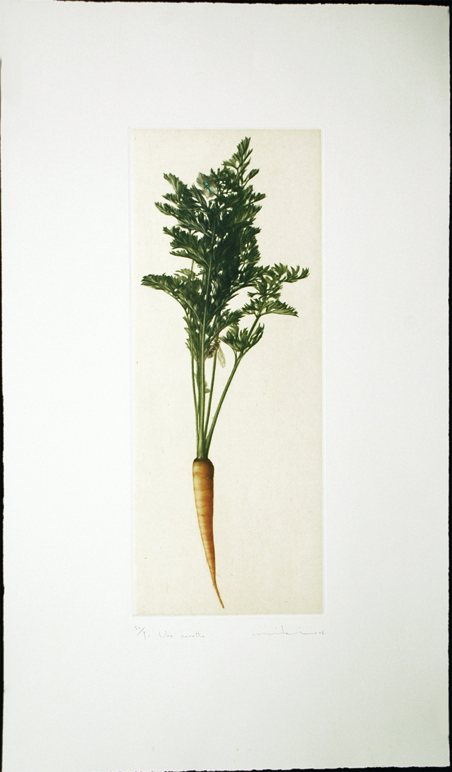 Une Carotte - Image 2