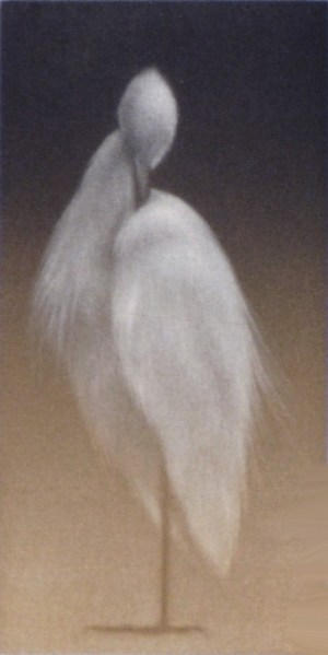 Feathered Light IV
