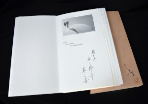 Feathered Light  (book)