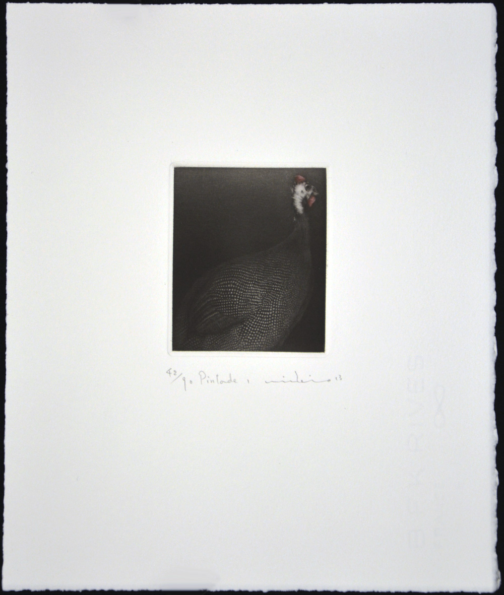 Pintade (Guineafowl) I - Image 2